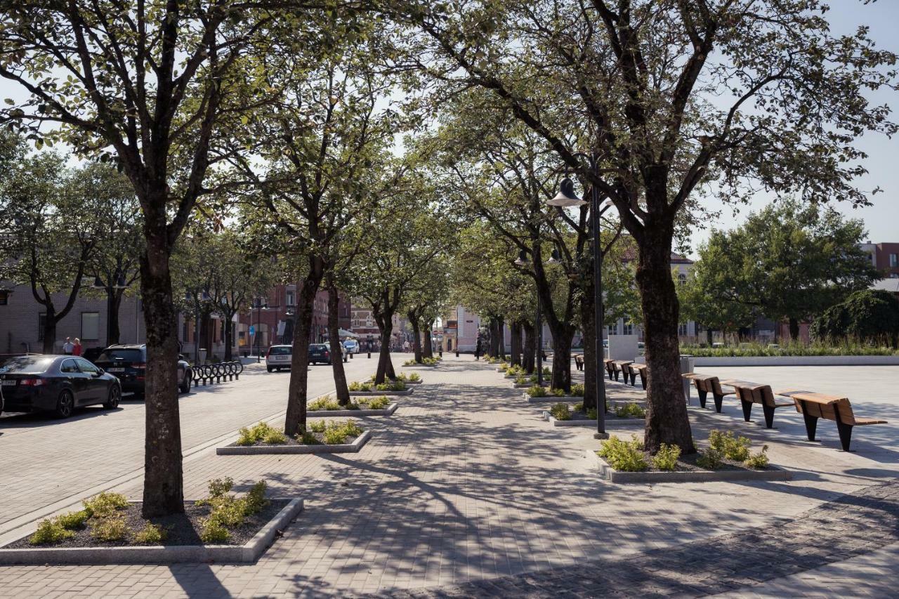Koidulapark